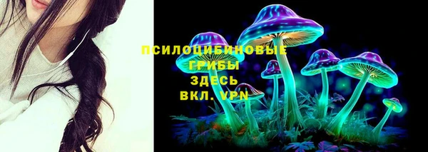 герыч Козельск