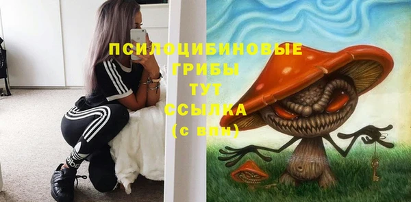 герыч Козельск