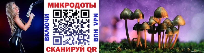 Купить где  Бирюсинск  Галлюциногенные грибы прущие грибы 